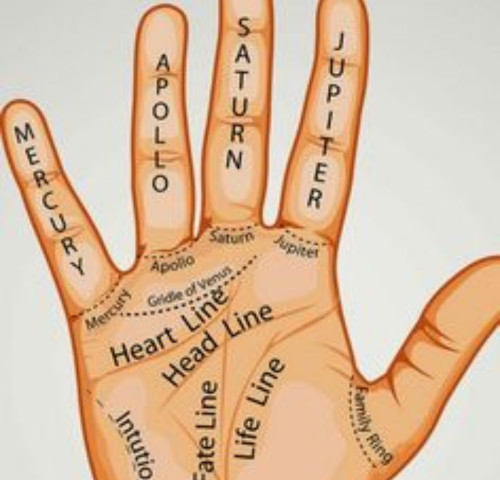 Service Provider of Palmist in New Delhi, Delhi, India.